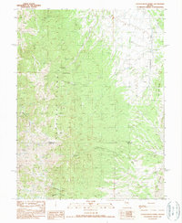Cockalorum Spring 1990 topographic map thumbnail