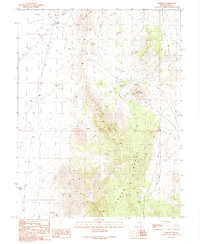 Currant 1990 topographic map thumbnail