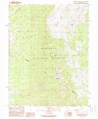 Currant Mountain 1990 topographic map thumbnail
