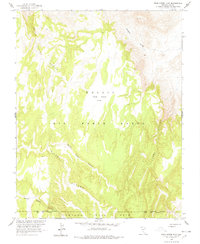 Dead Horse Flat 1963 topographic map thumbnail
