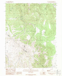 Desert Creek Peak 1988 topographic map thumbnail