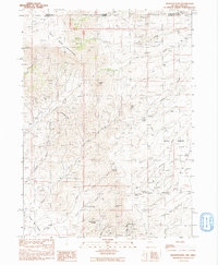 Disaster Peak 1991 topographic map thumbnail