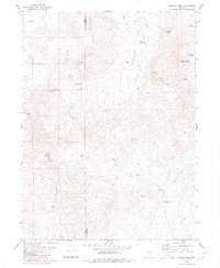 Division Peak 1980 topographic map thumbnail