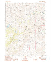 Duffer Peak 1990 topographic map thumbnail