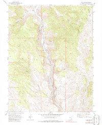 Elgin NE 1969 topographic map thumbnail