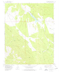 Fife Mountain 1973 topographic map thumbnail