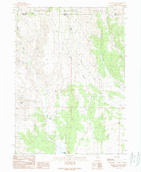 Fivemile Gulch 1989 topographic map thumbnail