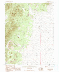 Forest Home NE 1990 topographic map thumbnail
