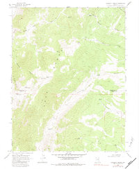Haggerty Spring 1969 topographic map preview