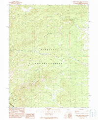 Horse Track Spring 1990 topographic map thumbnail