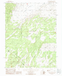 Huntoon Spring 1988 topographic map thumbnail