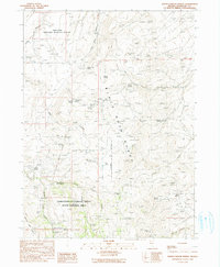Idaho Canyon Spring 1990 topographic map thumbnail