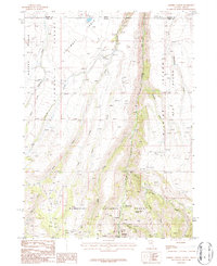 Jarbidge North 1986 topographic map thumbnail