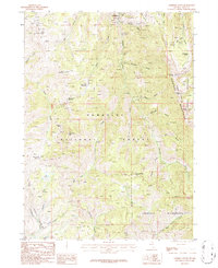 Jarbidge South 1986 topographic map thumbnail