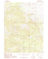 Kious Spring 1987 topographic map thumbnail