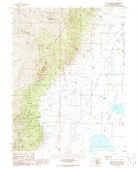 Millett Ranch 1988 topographic map thumbnail