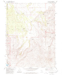 Mixie Flat 1980 topographic map thumbnail