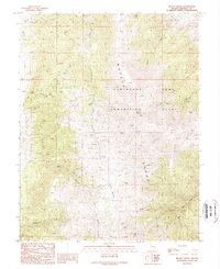 Mount Grant 1989 topographic map preview