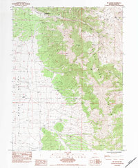 Mt. Taylor 1984 topographic map thumbnail