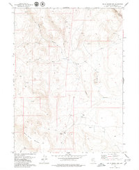 Nellie Spring Mtn 1979 topographic map thumbnail