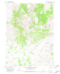 Ninemile Mtn 1967 topographic map thumbnail
