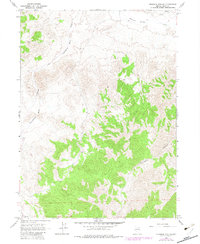 Ninemile Mtn NE 1967 topographic map thumbnail