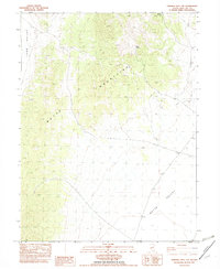 Ninemile Well NW 1982 topographic map thumbnail