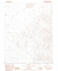 North of Silver Peak 1987 topographic map thumbnail