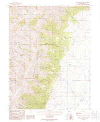 North Toiyabe Peak 1988 topographic map thumbnail