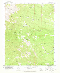 Parsnip Peak 1970 topographic map thumbnail