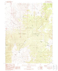 Petes Summit 1989 topographic map thumbnail