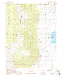 Pine Nut Valley 1986 topographic map preview