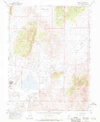 Reno NE 1967 topographic map thumbnail