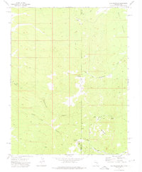 Rice Mountain 1972 topographic map thumbnail
