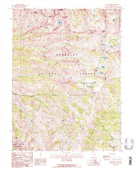 Ruby Dome 1990 topographic map thumbnail