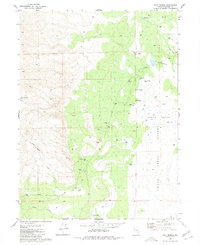 Salt Marsh 1980 topographic map thumbnail