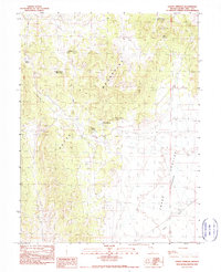 Sammy Springs 1990 topographic map thumbnail