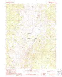 Savory Mountain 1990 topographic map preview