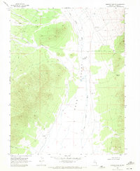 Shingle Pass SE 1969 topographic map preview