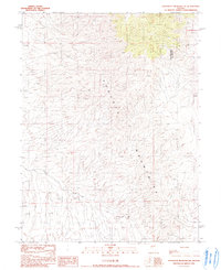Shoshone Meadows NE 1990 topographic map thumbnail