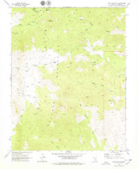 Slidy Mountain 1969 topographic map thumbnail