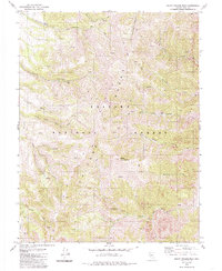 South Toiyabe Peak 1979 topographic map thumbnail