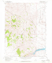 Summer Camp 1968 topographic map preview
