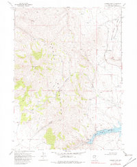 Summer Camp 1968 topographic map thumbnail