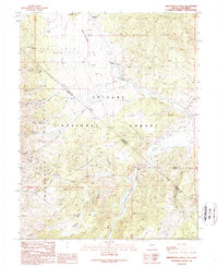 Sweetwater Creek 1989 topographic map thumbnail