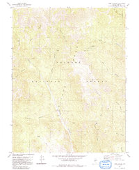 Toms Canyon 1980 topographic map thumbnail