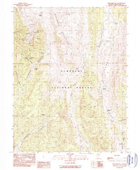 Treasure Hill 1990 topographic map thumbnail