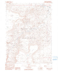 Virgin Valley 1990 topographic map thumbnail
