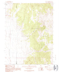 Wallace Canyon 1989 topographic map thumbnail