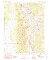 Ward Mountain 1990 topographic map thumbnail